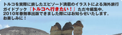 旅のイラストガイドブックの著者、片岡れいこさんと行く!トルコ悠々満喫の旅13日間