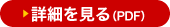 詳細を見る(PDF)